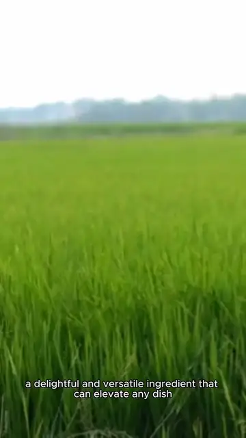 Video thumbnail for JASMINE RICE RECIPE