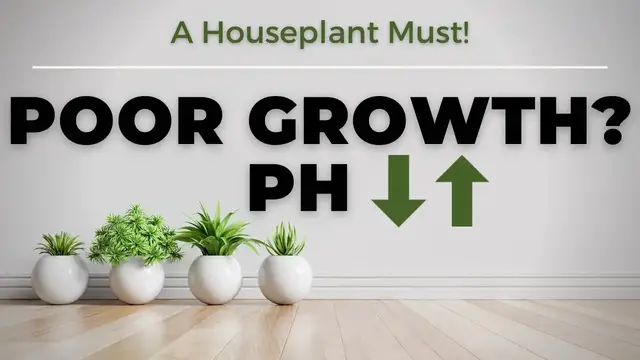 Video thumbnail for How To Change Potting Soil pH? Why This Is A MUST For Houseplants & Containers | Soil Scientist