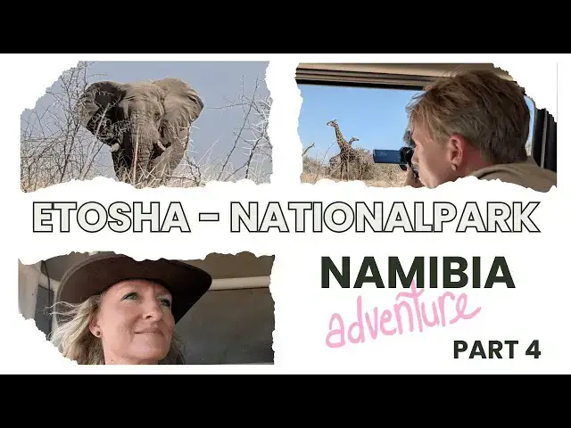 'Video thumbnail for Abenteuer Namibia 🇳🇦 – Selbstfahrer-Safari Teil 4: Vom Damaraland zum Etosha-Nationalpark & Okavango'