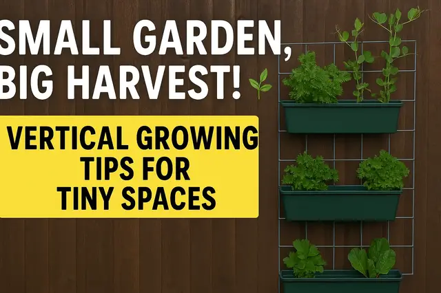 'Video thumbnail for 🌿 Small Garden, Big Harvest! | Vertical Growing Tips for Tiny Spaces 🌱'