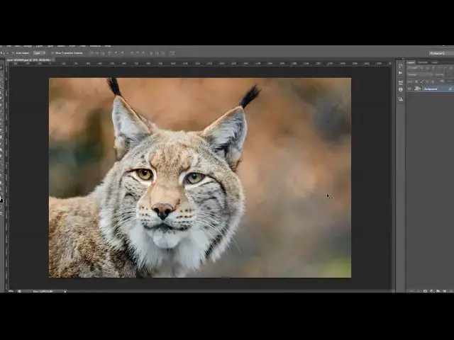 'Video thumbnail for Basics Tips for Using the High Pass Filter in Adobe Photoshop'