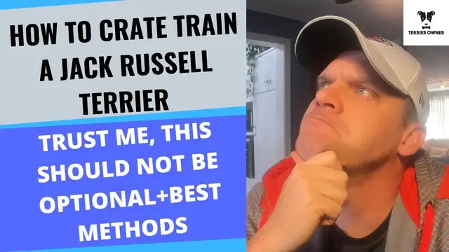 Video thumbnail for Crate Training A Jack Russell Terrier (How To Do It Correctly And Why It's So Important)