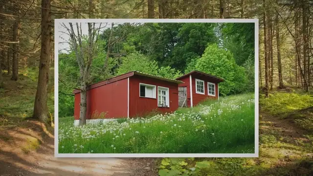 Video thumbnail for Florida's Tiny Home Rules and Regulations: Everything You Need to Know