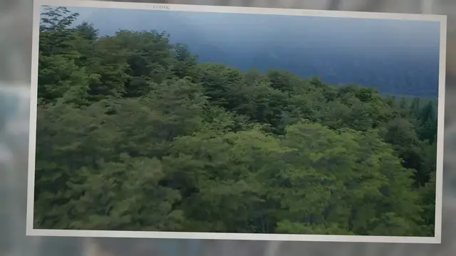 Video thumbnail for What is ESG investing? A beginners guide