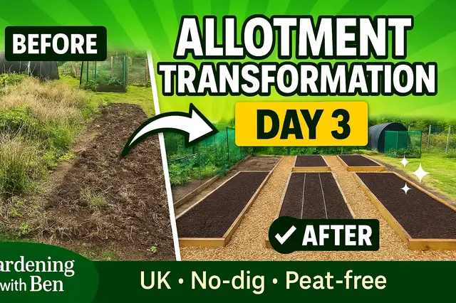 'Video thumbnail for ๐ฑ Allotment Transformation โ Day 3 ๐ฑ'