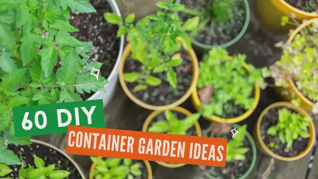 Video thumbnail for 60 DIY Container Garden Ideas