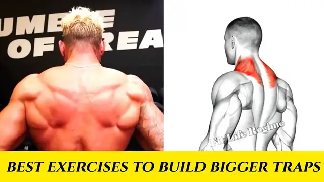 Video thumbnail for BEST EXERCISES TO BUILD BIGGER TRAPS