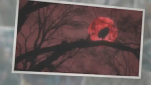 Video thumbnail for Did the World End in 2012?