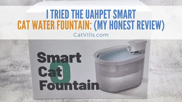 Video thumbnail for Uahpet Wireless & Battery Operated Cat Water Fountain | My Honest review
