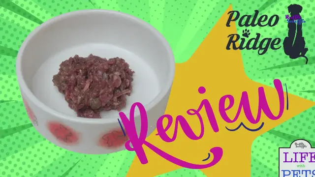 'Video thumbnail for Honest Paleo Ridge Dog Food Review: The Best Raw Dogfood? '