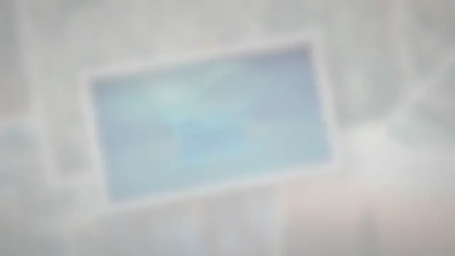 Video thumbnail for How Fast Can a Dolphin Swim?