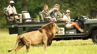 Video thumbnail for 22 Lions on Mala Mala - LIVE!