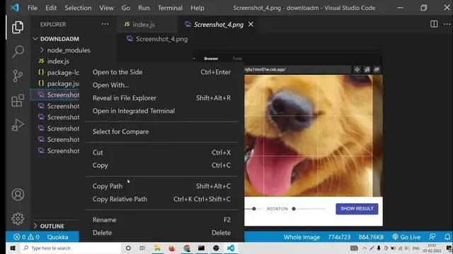 Video thumbnail for Node.js Express Tutorial to Download Multiple Files at Once Using express-zip Library in Javascript