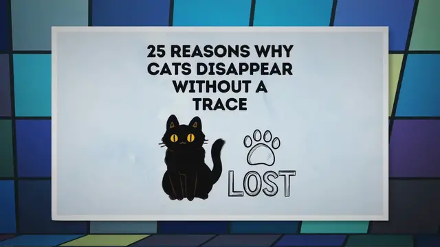 Video thumbnail for 20+ Reasons Why Cats Disappear Without A Trace