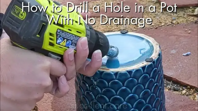 'Video thumbnail for How to Easily Drill a Hole in a Pot With No Drainage (2x speed)'
