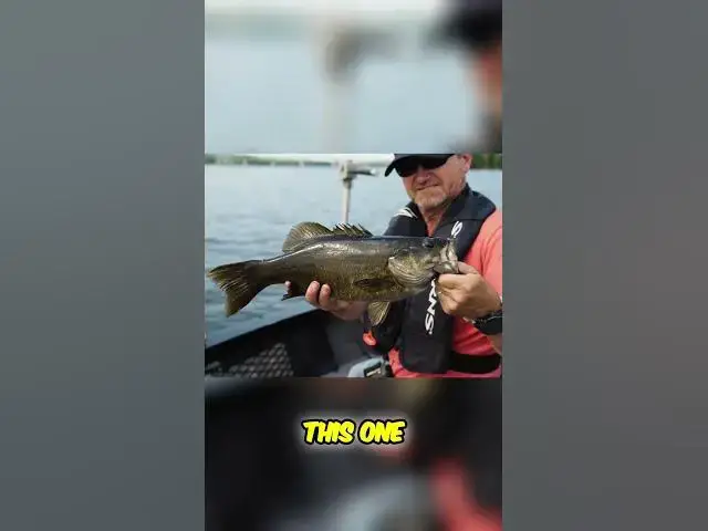 Video thumbnail for The Best Smallmouth Fishing in Canada?? #fishing #bassfishing #smallmouthbass #fishncanada