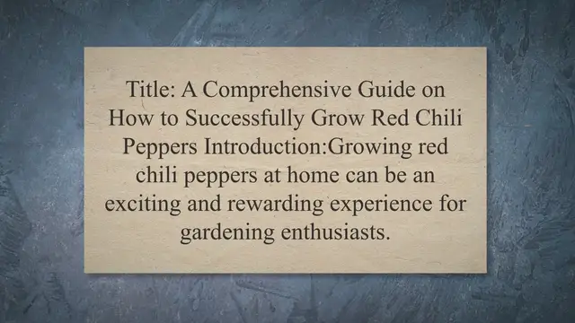 Video thumbnail for How to Successfully Grow Red Chili Peppers