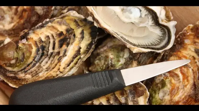 Video thumbnail for How To Use Oyster Knife Properly? Superb 7 Guides To Use It Properly