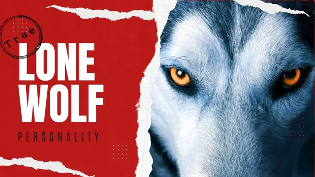 Video thumbnail for The Truth About Lone Wolf Personality