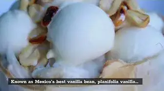 Video thumbnail for Simple Guide To Vanilla Beans and Best Place Where To Buy Them (2021)