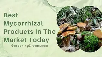 Video thumbnail for Best Mycorrhizal Products In The Market Today