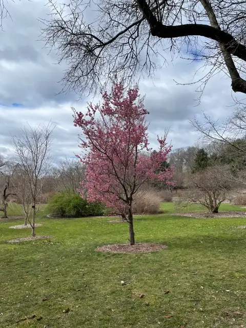 Video thumbnail for Going Green at Work: 5 Tips for Choosing the Best Plants for the Office