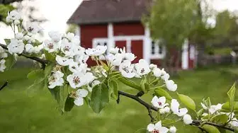 Video thumbnail for Roadtrip durch Smaland Schweden