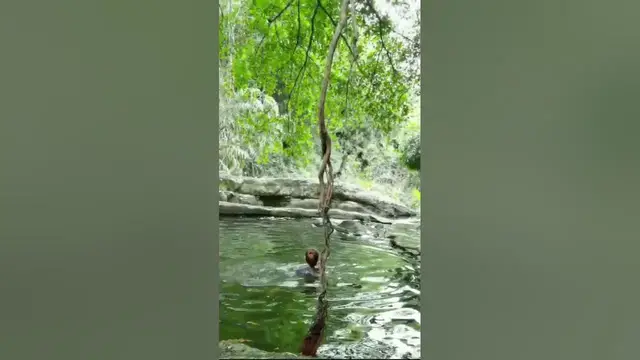 Video thumbnail for Beautiful nature and rural life in Sri Lanka #shorts