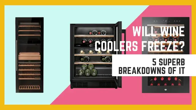 Video thumbnail for Will Wine Coolers Freeze? 5 Superb Breakdowns Of It