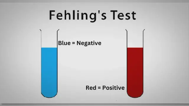 Video thumbnail for Fehling Solution, Formula, Preparation, and Test
