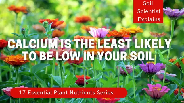 Video thumbnail for Calcium For Plants. Why Calcium Is Abundant But Not Available. Plantmas ep 4.