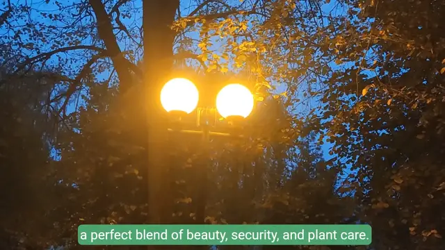 'Video thumbnail for Gardening Lights: How to Choose the Best Lighting for Your Garden'
