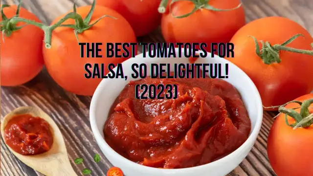 Video thumbnail for The Best Tomatoes For Salsa, So Delightful! (2023)