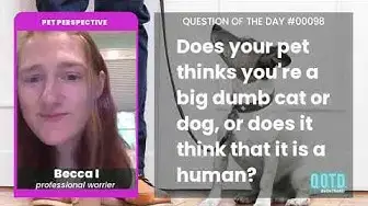 Video thumbnail for Becca thinks dogs, and elephants, see humans like we see dogs: as adorable pets!