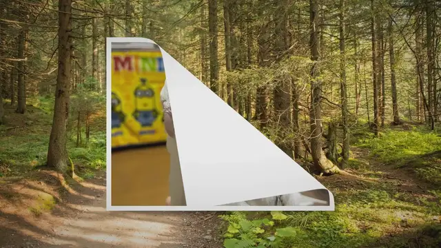 'Video thumbnail for How To Help A Molting Cockatiel'