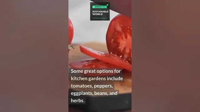 Video thumbnail for Get Ready to Plant a Home Garden in Your Kitchen