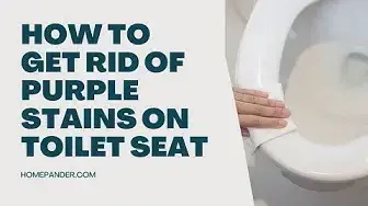Video thumbnail for How To Get Rid Of Purple Stains On Toilet Seat?