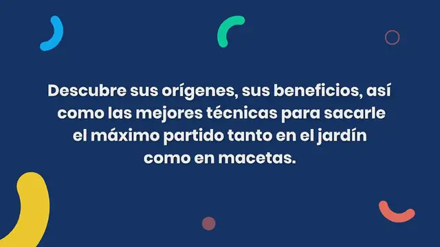 Video thumbnail for Tomillo: secretos y consejos para plantar y cultivar con éxito