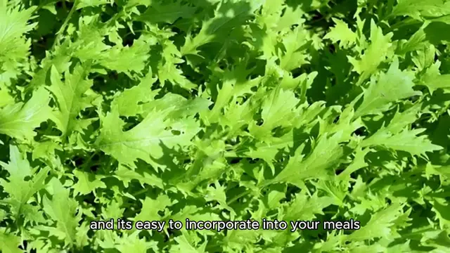 Video thumbnail for kale kale recipe