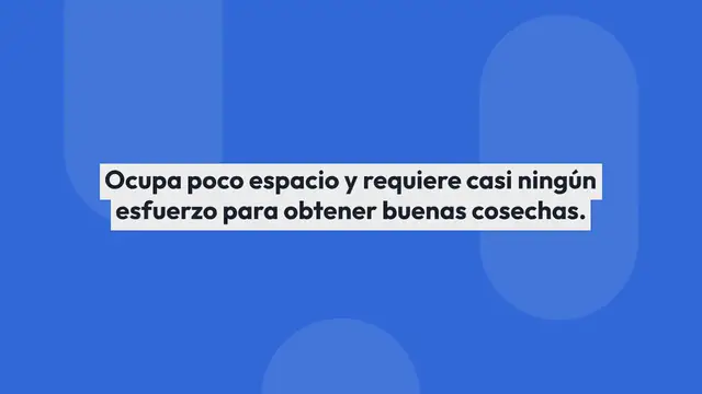 Video thumbnail for Cómo cultivar ajo en tu huerto