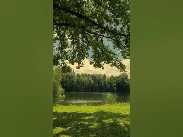 Video thumbnail for #nature #explorepage #nature #trending