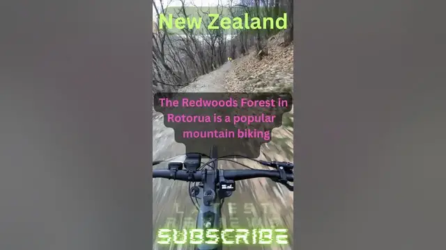 Video thumbnail for Mountain Biking Paradise: Conquer the Redwoods Forest in Rotorua!