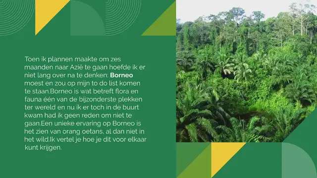 Video thumbnail for MUST DO: ORANG OETANS SPOTTEN OP BORNEO