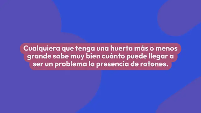 Video thumbnail for Cómo acabar con los ratones del jardín sin productos químicos: el remedio para mantenerlos alejados