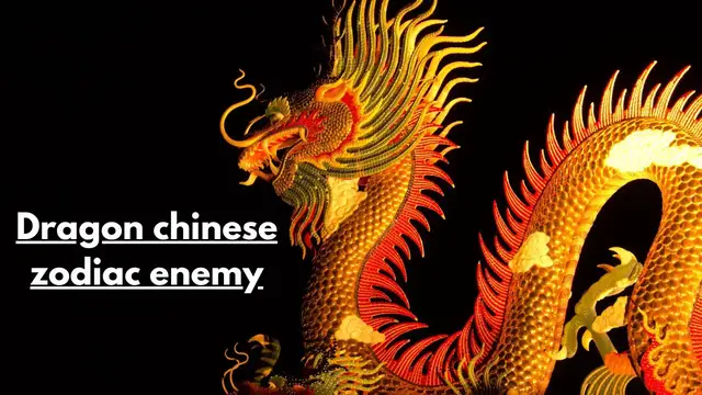 Video thumbnail for Dragon Chinese zodiac enemy: video blog