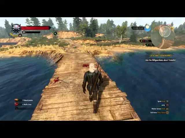 Video thumbnail for The Witcher 3: Wild Hunt - Tamerian Lily Key, Insignia, Orders, Tamerian Valuables Quest Unlocked