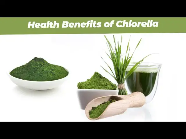 Video thumbnail for Exploring the Extensive Health Benefits of Chlorella