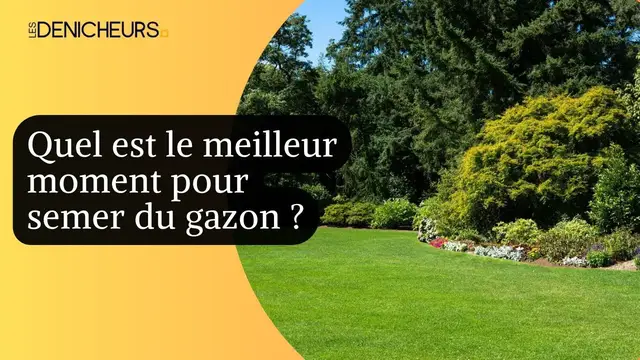Video thumbnail for 🕐​👩‍🌾 Quel est le meilleur moment pour semer du gazon ? ​⛰️​