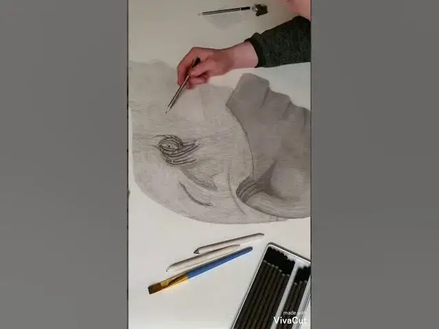 Video thumbnail for Applying Wrinkles To My Elephant Drawing | JWC Draws