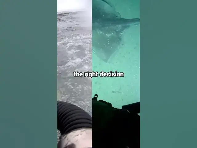 Video thumbnail for Shipwreck Hunt at 90 Metres Makes Unexpected Discovery